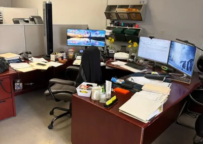 Professional Tax Advisor